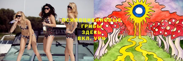 экстази Арсеньев