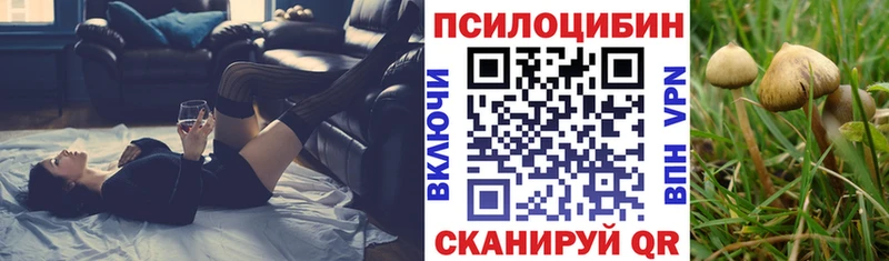 даркнет клад  Зерноград  Псилоцибиновые грибы Cubensis  blacksprut онион 